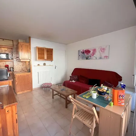 Studio Cabine 4 Pers, Terrasse, Garage, Proche Port Et Commerces - Fr-1-226a-171 Apartmán
